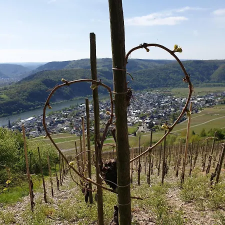 Апартаменты Gaestehaus Steuer *