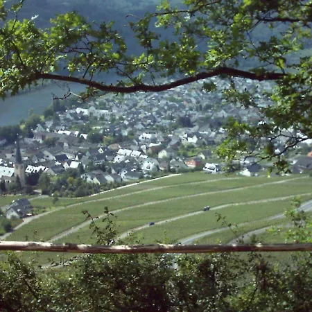 Gaestehaus Steuer