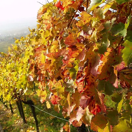 Διαμέρισμα Gaestehaus Steuer