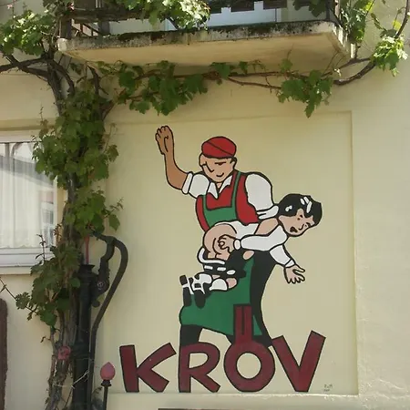Gaestehaus Steuer * Krov