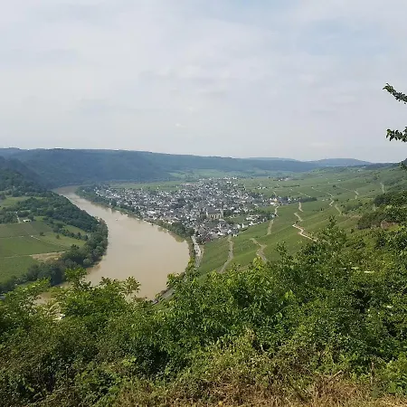 Gaestehaus Steuer *