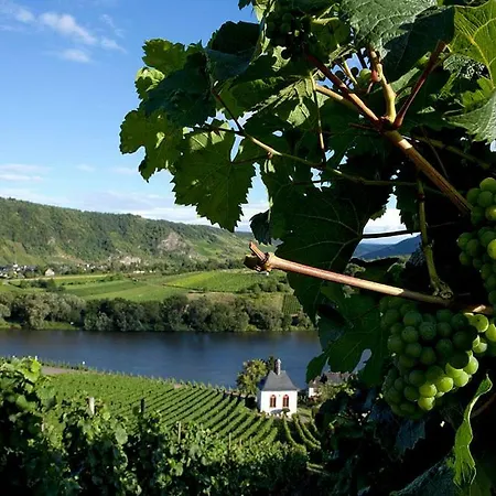 Διαμέρισμα Gaestehaus Steuer Kröv