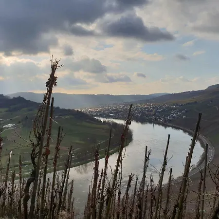 Апартаменты Gaestehaus Steuer Креф