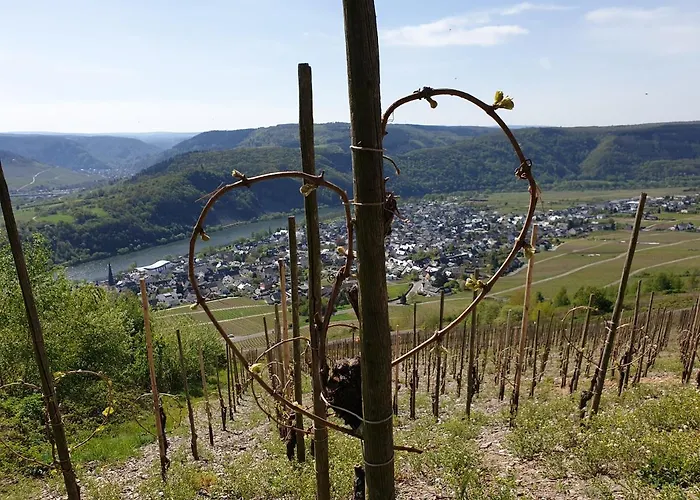 Lägenhet Gaestehaus Steuer *