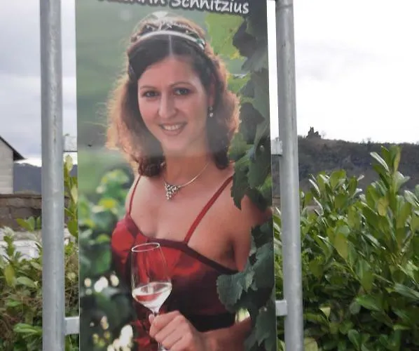 Lägenhet Gaestehaus Steuer