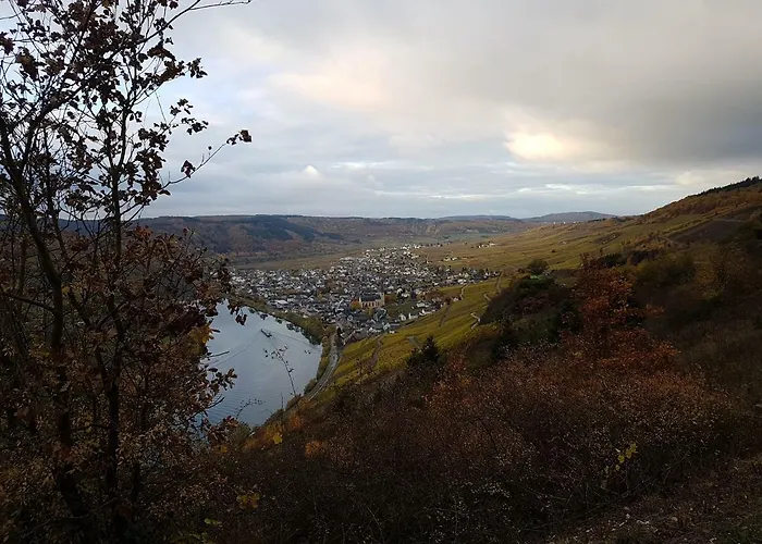 Gaestehaus Steuer Kröv