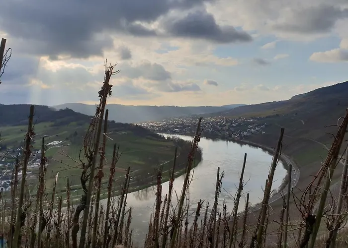 Apartament Gaestehaus Steuer Kröv