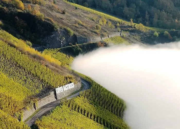 Lägenhet Gaestehaus Steuer *